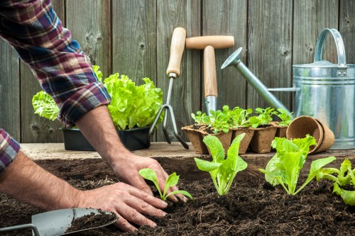 Gardening service staff inspecting a garden