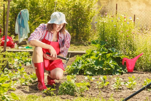 Finished compost being used to enrich community beds