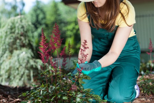 Volunteer using a screen reader on a tablet to view gardening event details