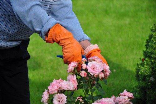 Professional gardener maintaining a lush landscape in Forest Gate