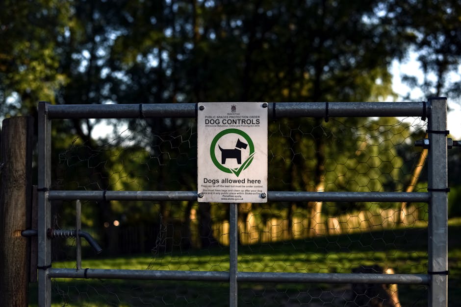 A fenced outdoor area featuring a patch of earth with sparse grass, a small pile of green garden waste including leaves and stems, and a brown dog resting on the ground near a black plastic plant pot.